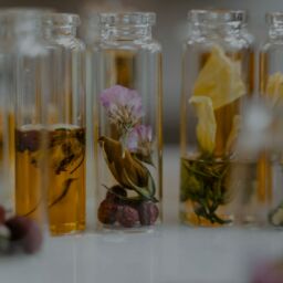 Ingredienten zoals bloemen en kruiden i een rij naast erlkaar voor parfum te maken