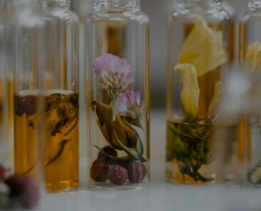 Ingredienten zoals bloemen en kruiden i een rij naast erlkaar voor parfum te maken