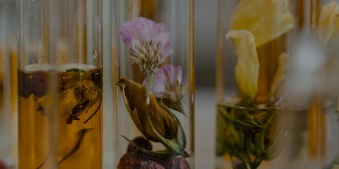 Ingredienten zoals bloemen en kruiden i een rij naast erlkaar voor parfum te maken